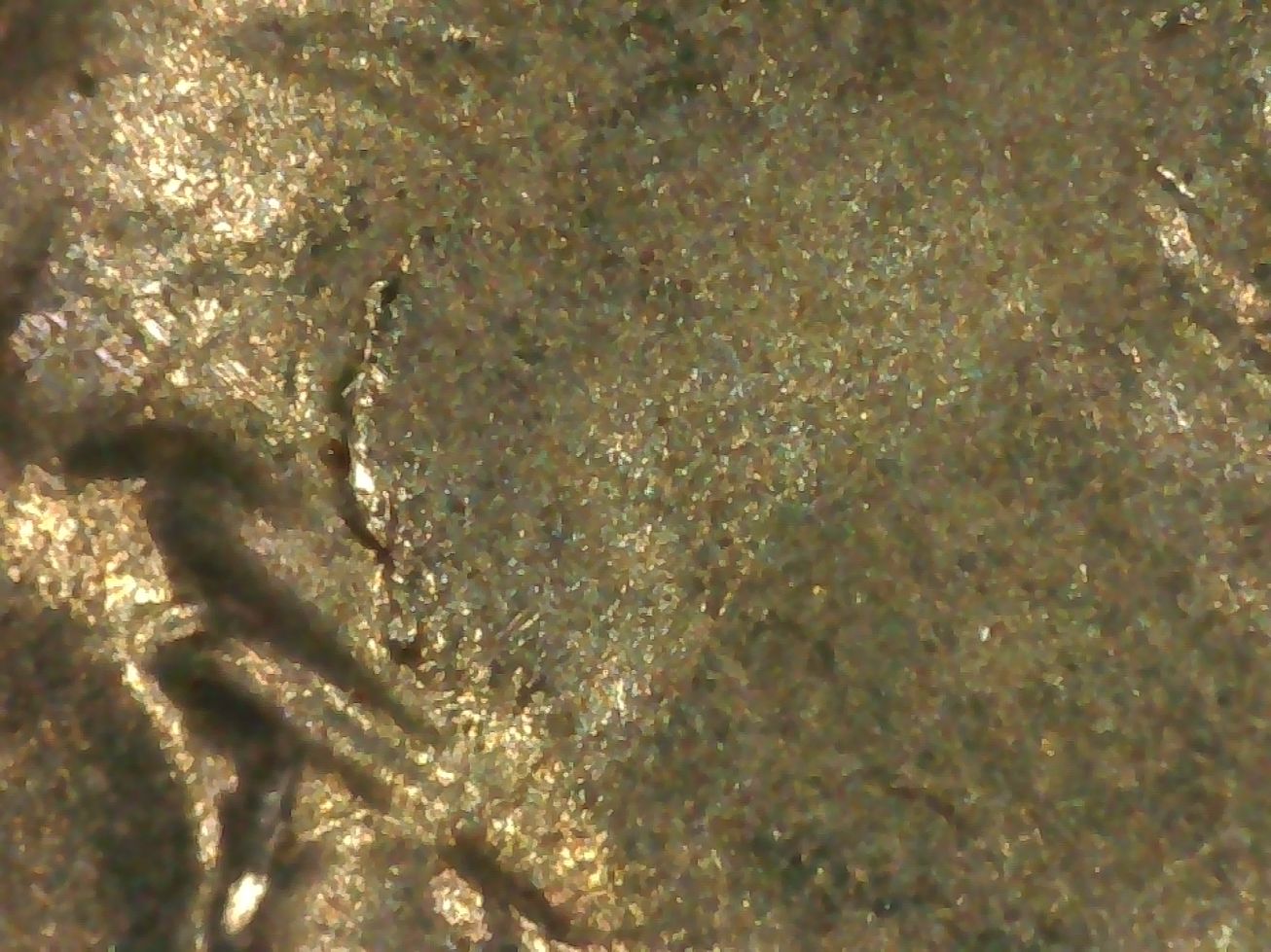 2021-Dime,-Whats-Going-On?